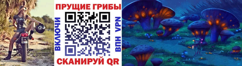 Галлюциногенные грибы Cubensis  Купить закладки  Кинешма 